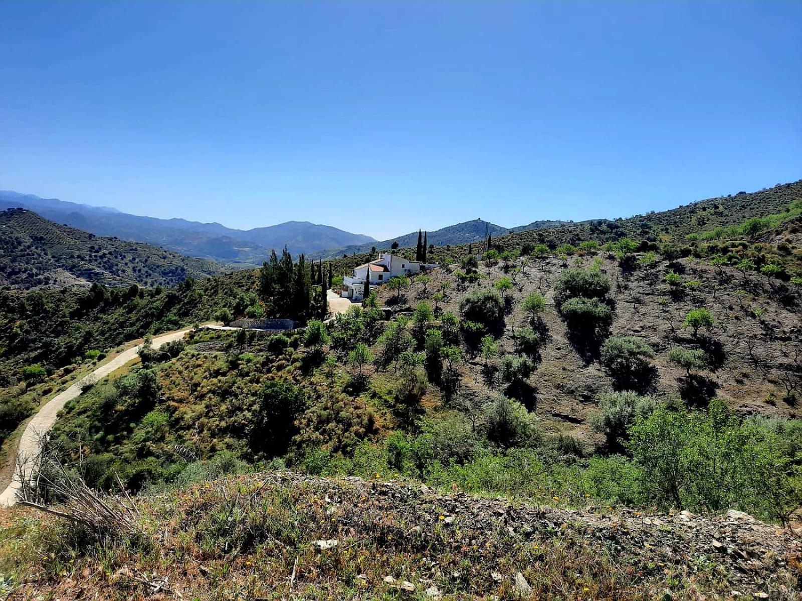 Casa Amani Bed & Breakfast Viñuela Dış mekan fotoğraf