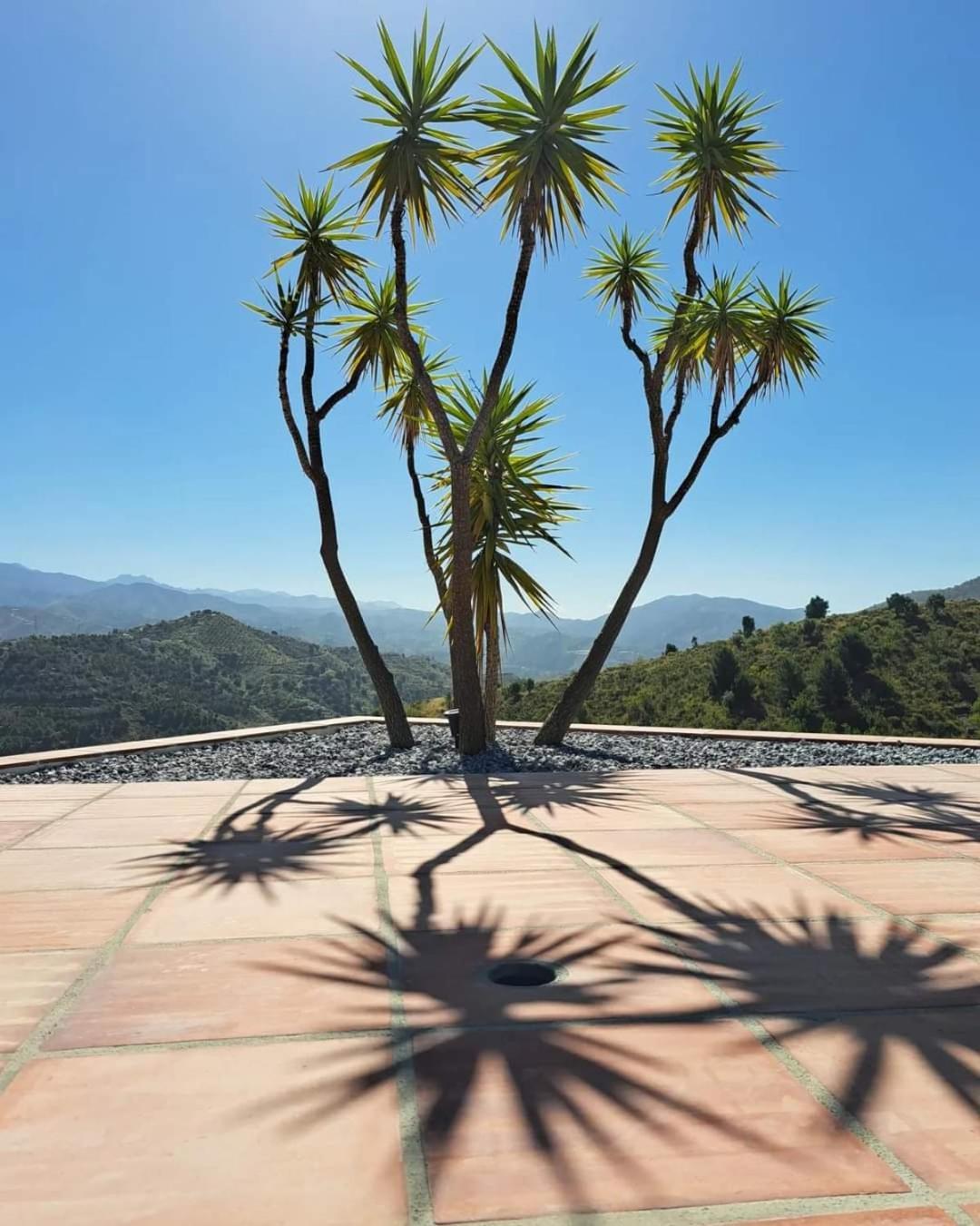Casa Amani Bed & Breakfast Viñuela Dış mekan fotoğraf